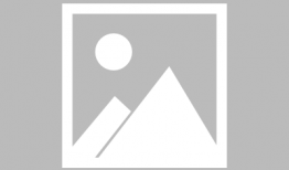 黑色四叶草漫画免费观看,免费畅享热血动漫的奇幻之旅